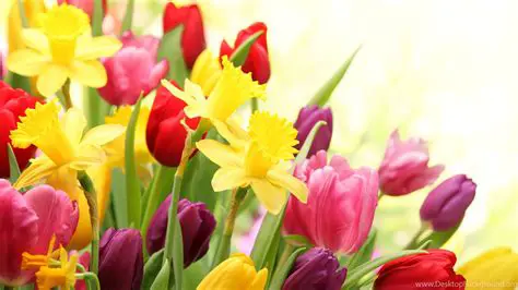 Features of the Spring Flowers Screensaver