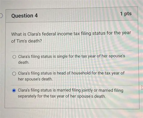 Federal Income Tax Filing Status