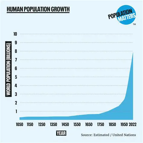 Finding the Population at a Given Time