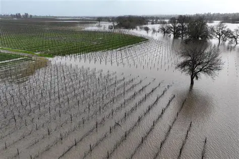 Flooding and standing water