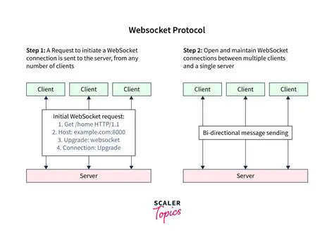 Following the WebSocket protocol
