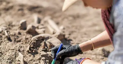 Forensic Archaeology in the Game