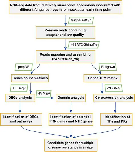 Gene Identification and Selection