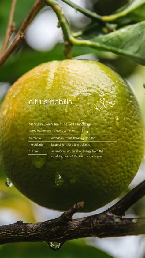 Genetic diversity of Citrus nobilis in North Sumatra using NTSYS software