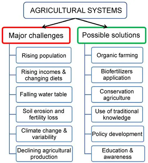 Government Program and Farmers Challenges