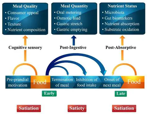 Growing recognition of the role of fat in satiety and weight management