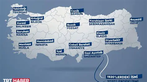 Hanutçuluk: Türkiye'de Geleneksel Bir Zanaatın Tarihi ve Önemi