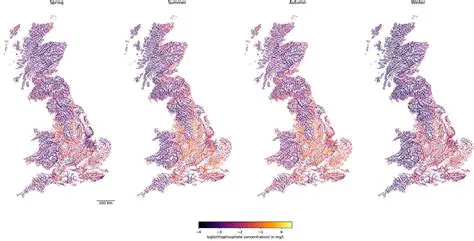 High orthophosphate levels