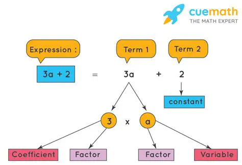 How to Identify Coefficients in Different Types of Expressions