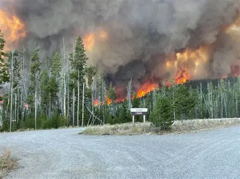 Idaho Falls Fire News: Staying Informed on Southern Idaho Wildfires