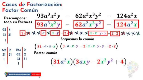 Identificar los factores comunes simples