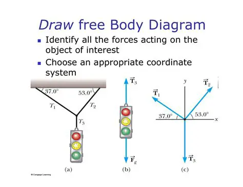 Identify all the forces acting on the object