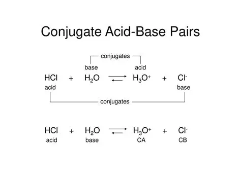 Identifying the Conjugate Base