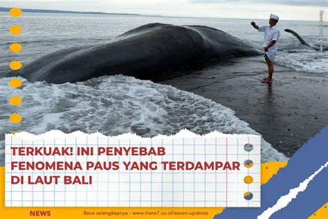 Idunia Misteri Trans7: Menguak Tabir Kehidupan Gaib dan Fenomena Tak Terjelaskan