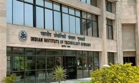 IITwitterland: Unveiling the Vibrant Digital Ecosystem of the Indian Institutes of Technology