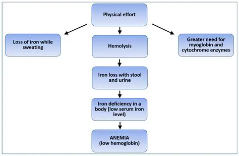 Impact of Iron Deficiency Anemia on the Mother on the Level of Thyroid Hormone Newborns