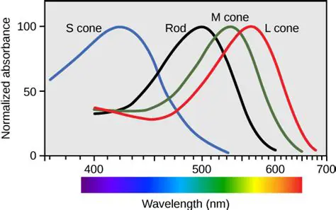 Implications of Overlapping Light Cones