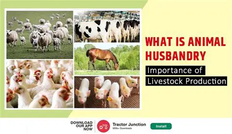 Importance of Animal Husbandry