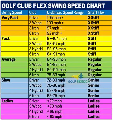 Increase the number of riders for the Swing Ride