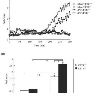 Increased airway constriction