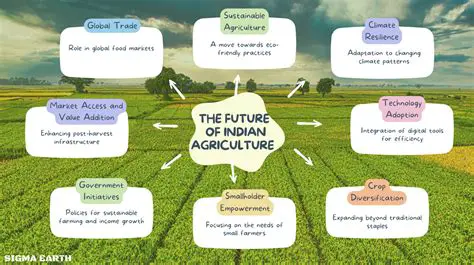 India's Agricultural Revolution: Unveiling the Kangin Bauta 3