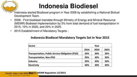 Unpacking Indonesia's Digital Mandate: Liputan6.com's Lens on the PSE Regulation