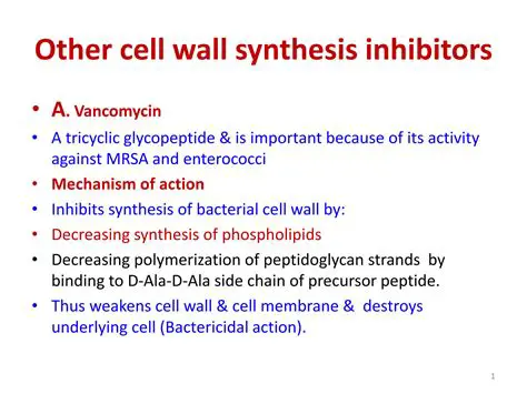 Inhibiting cell wall synthesis
