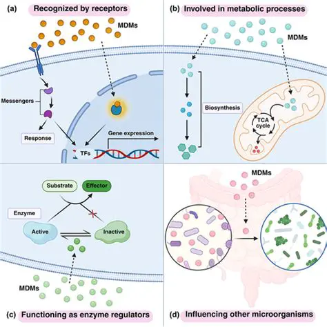 Inhibiting Enzymatic Activity