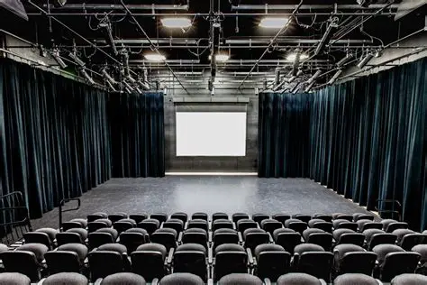 Inienke Plas Medeplichtig Theater: Deconstructing Artistic Complicity on Stage