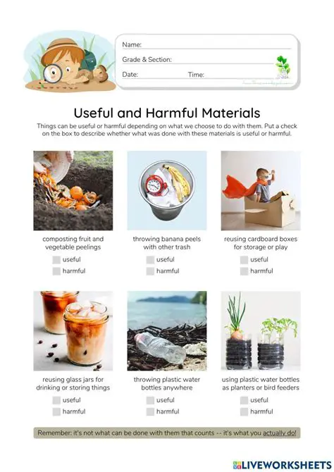 Insights and Useful Materials