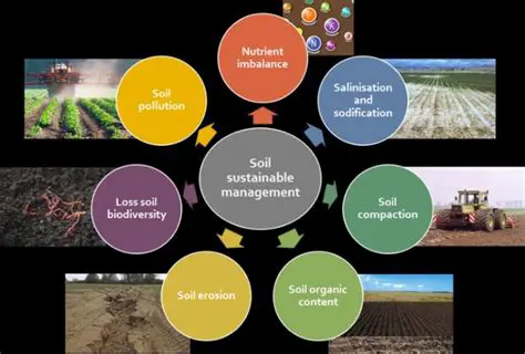 Integration between fertilization and land management