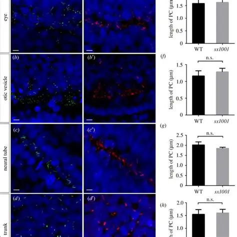 Integration with other Cilium features