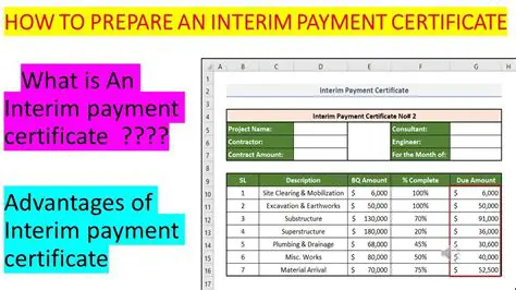 Interim Payment Assessment
