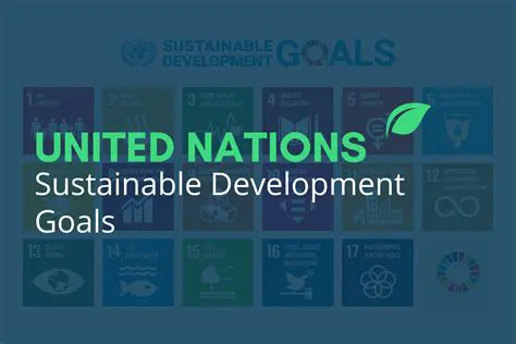 International Cooperation Settings in SDGs