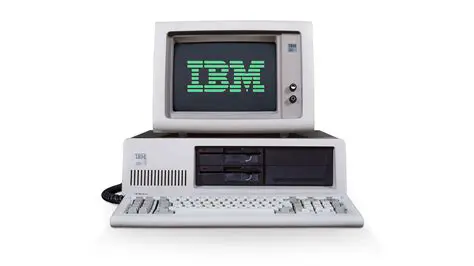 Introduces babies to computers