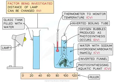 Investigate the effect of calibration on image quality