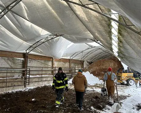 Ipseismokeyse Shakes Robertson County: Barn Collapse Sparks Investigation