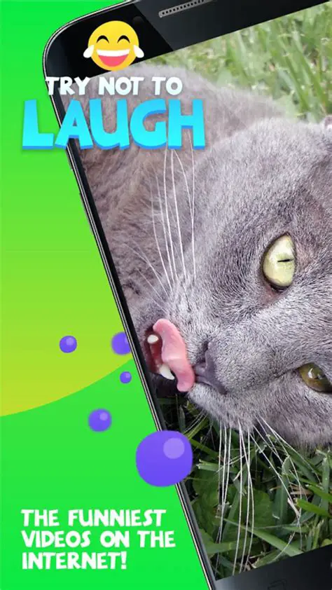 Can You Survive the iWeather Try Not to Laugh Challenge? Hilarious Forecasts Revealed!