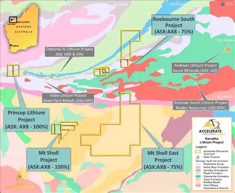 Jackson Fox and the Lithium Rush: Navigating Opportunities and Challenges