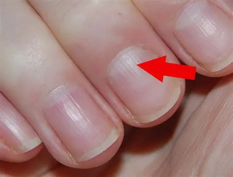 Жер сілкінісі: Себептері, Салдары және Алдын Алу Шаралары