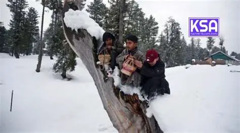 Kashmir's Next 15 Days: Unveiling the AccuWeather Hourly Forecast and Its Impact