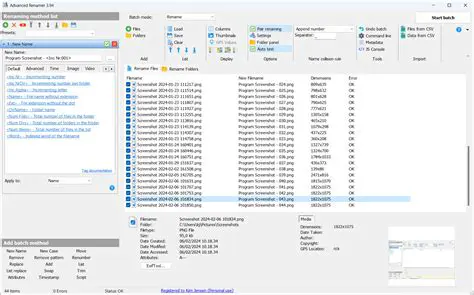 Key Features of Advanced Renamer