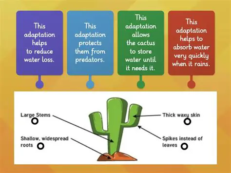 Key Features of Cactus Spam Filter