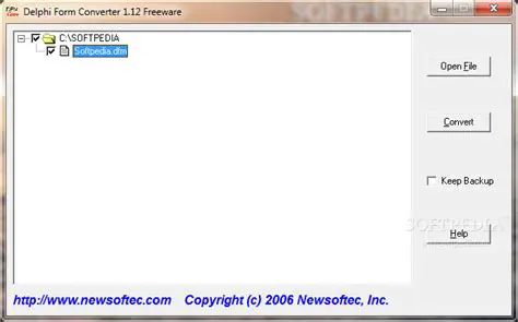 Key Features of Delphi DFM Converter