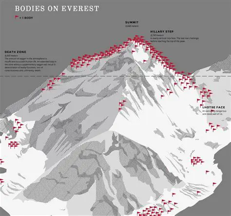 Key Features of Everest Advanced Edition