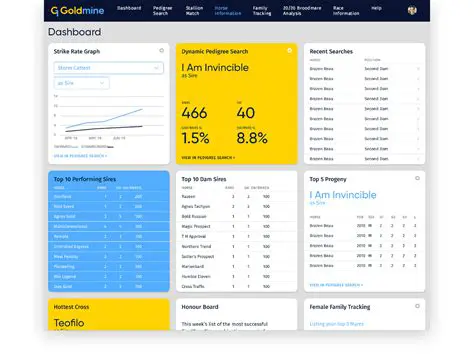 Key Features of G1 Goldmine v4