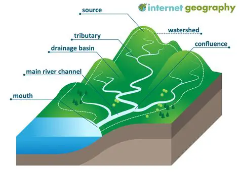 Key Features of Hydrognomon