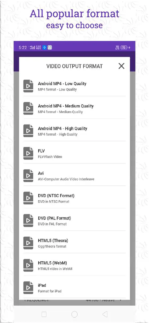 Key Features of Leap All Video Converter Platinum
