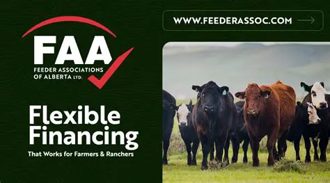 Key Features of News Feeder