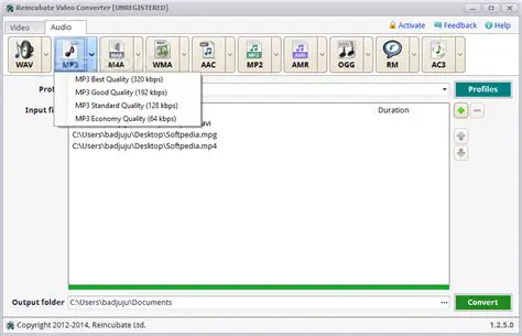 Key Features of Reincubate Video Converter